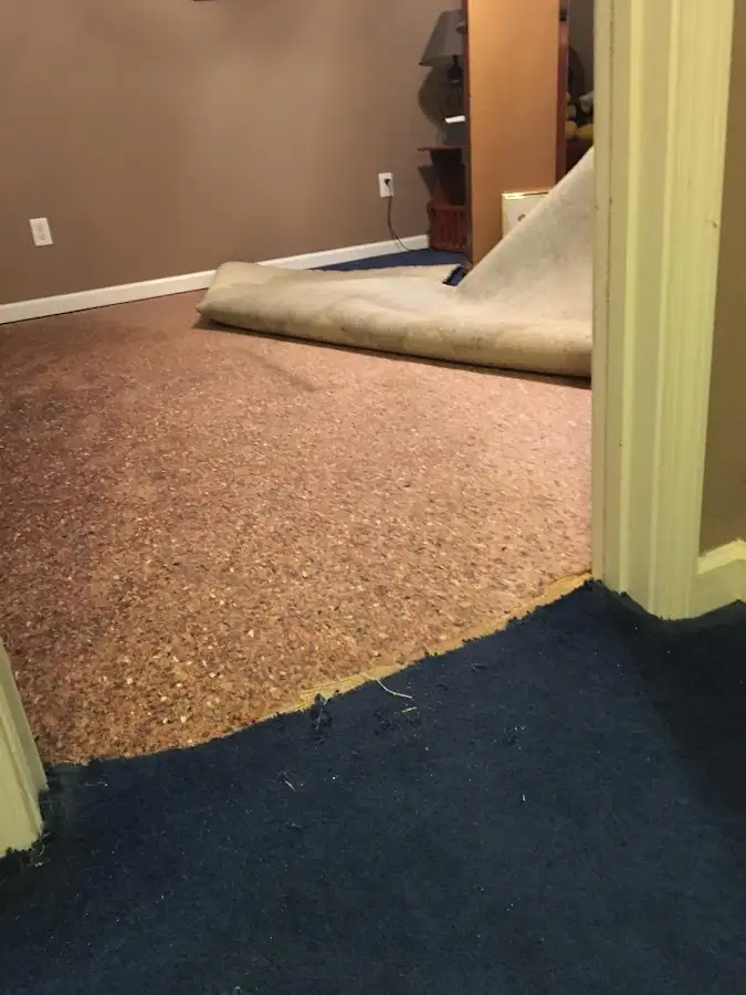 Carpet pad removal revealing water damage during Water Mitigation Services in Gray