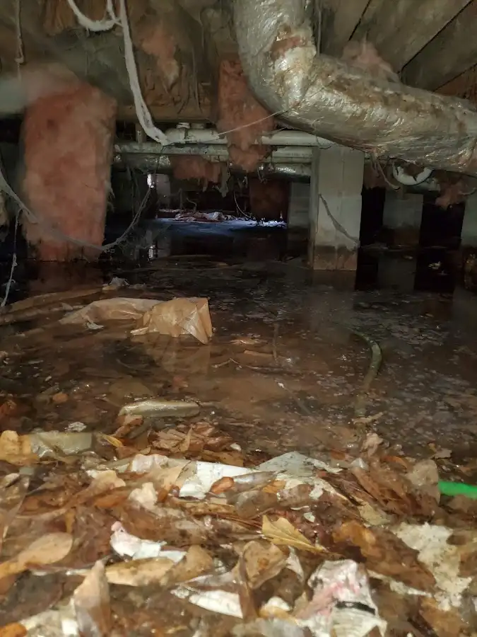 Crawl space flood assessment for Leak Detection & Repair in Gray