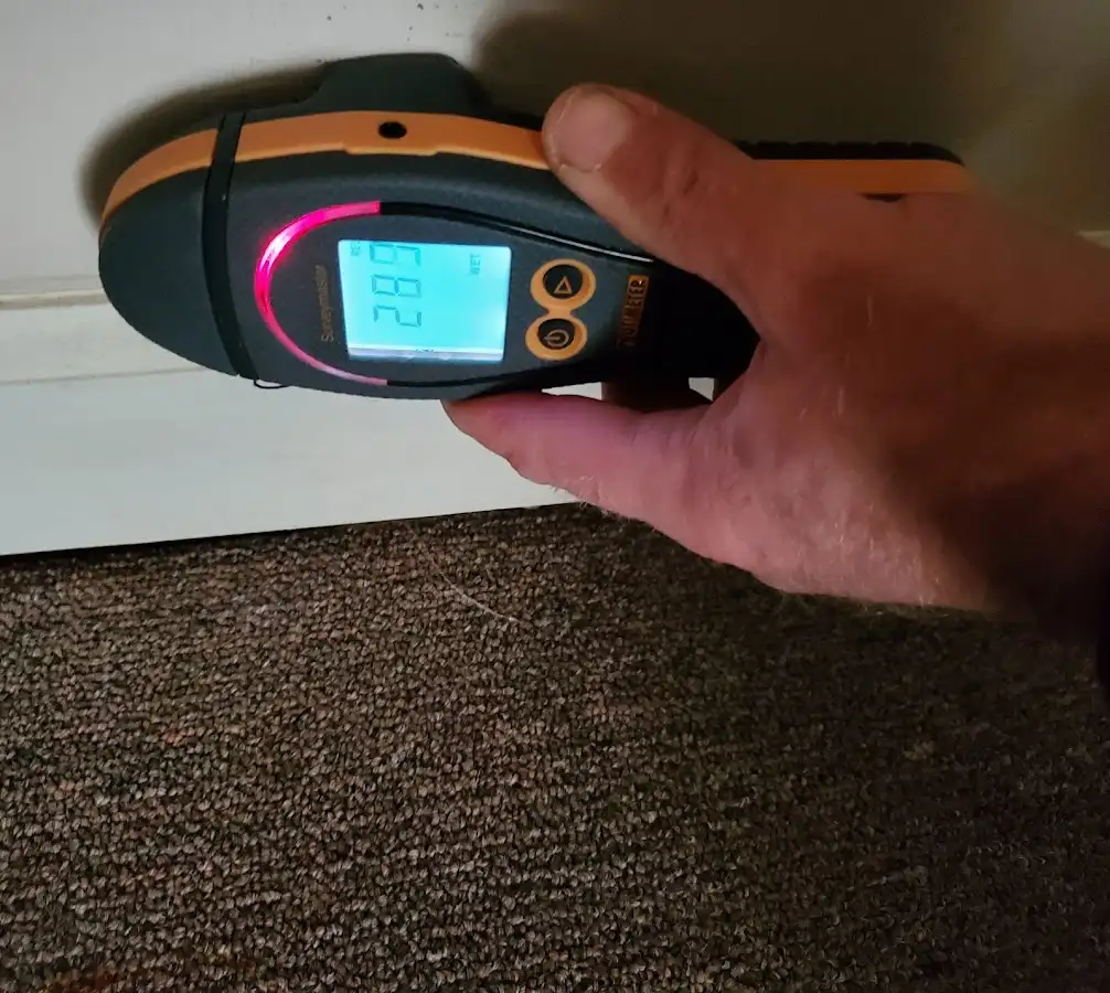 Moisture detection at baseboard during Burst Pipe Cleanup in Gray
